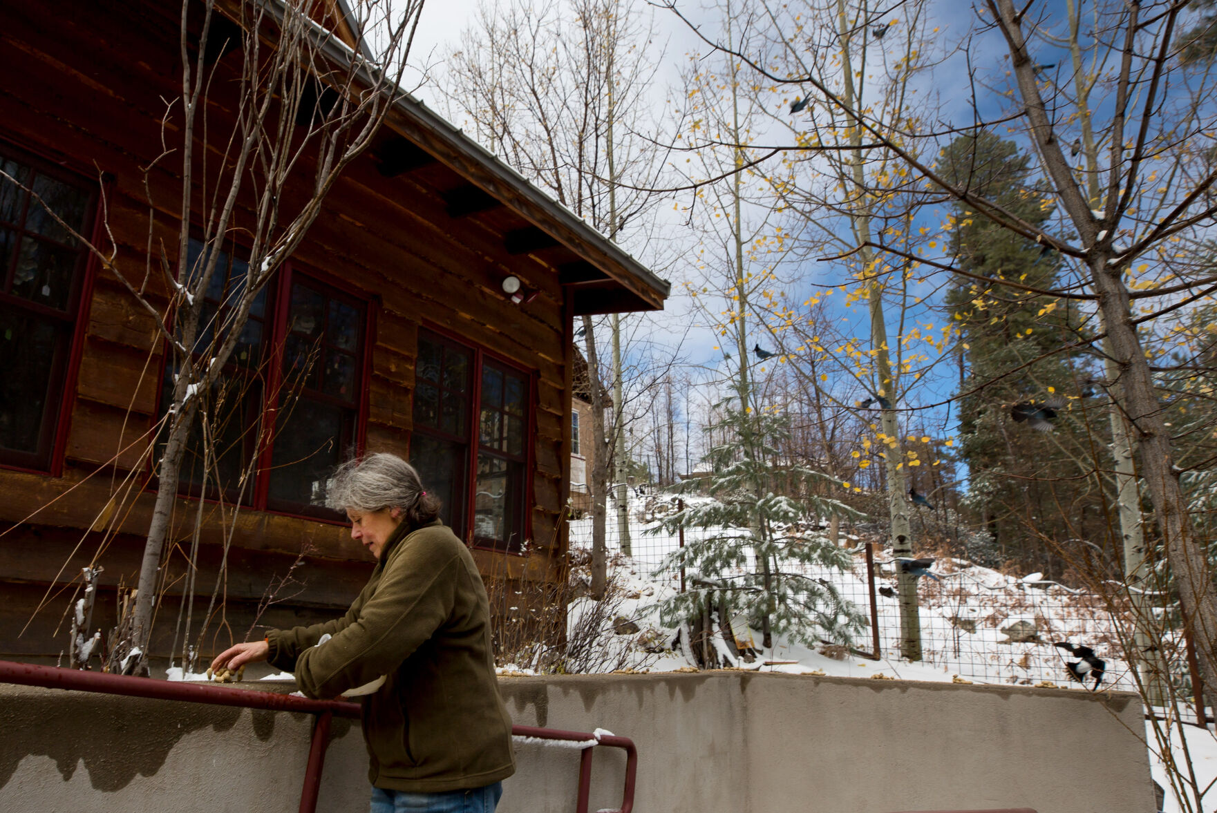 Snow in the Santa Catalina Mountains